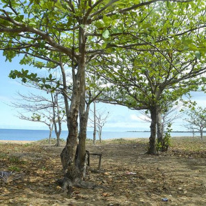 Praia do Governador