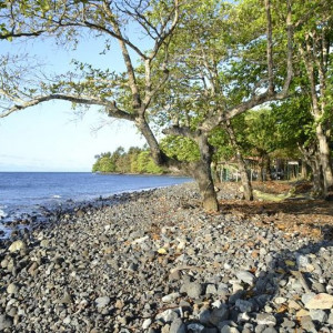 Praia dos Tamarindos