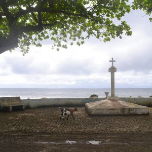 Ribeira Afonso