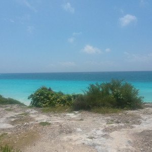 20140625_113203
