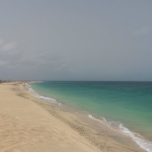 20150624_113042