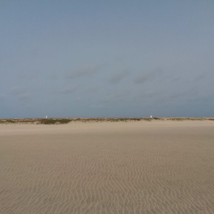 20150624_163158