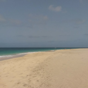 20150625_095851