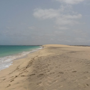 20150625_120443