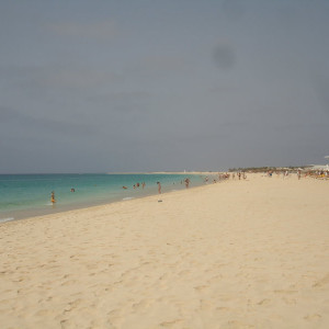 DSC06059