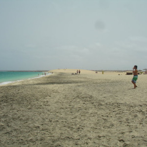 DSC06238