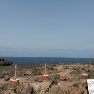 20150623_094942