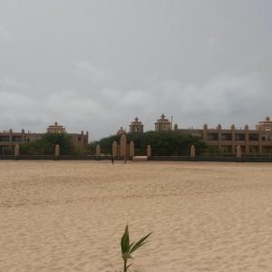 20150624_110733