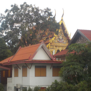 DSCN0058