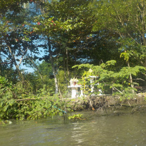 DSCN0244