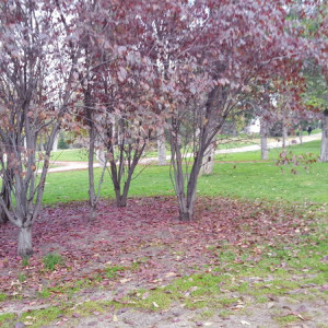 20151208_102913