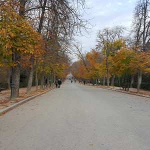 20151208_103708