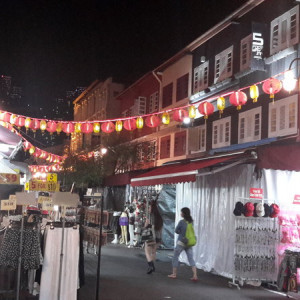 Singapura, Indonésia E Malásia Novembro 2015 041