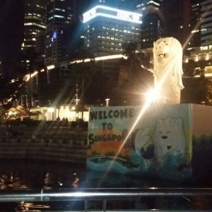 Singapura, Indonésia E Malásia Novembro 2015 065