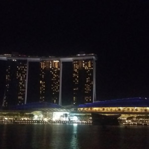 Singapura, Indonésia E Malásia Novembro 2015 055.1