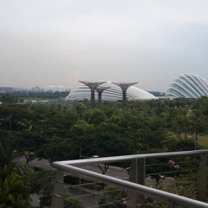 Singapura, Indonésia E Malásia Novembro 2015 120