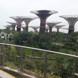 Singapura, Indonésia E Malásia Novembro 2015 124.1