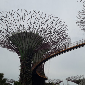 Singapura, Indonésia E Malásia Novembro 2015 132