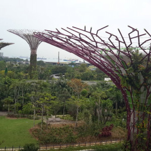 Singapura, Indonésia E Malásia Novembro 2015 138