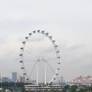 Singapura, Indonésia E Malásia Novembro 2015 126 - Cópia