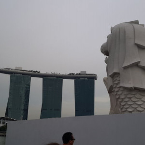Singapura, Indonésia E Malásia Novembro 2015 185