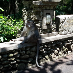 Singapura, Indonésia E Malásia Novembro 2015 410