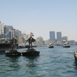 SDC10509