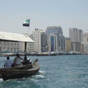 SDC10523