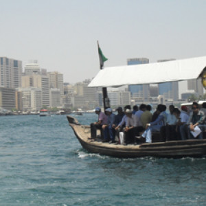 SDC10526