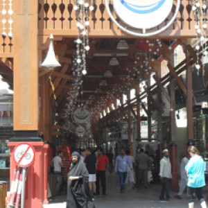 SDC10557