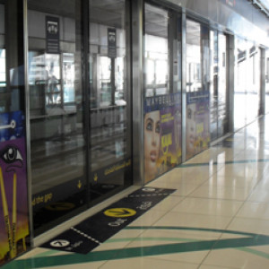 SDC10619