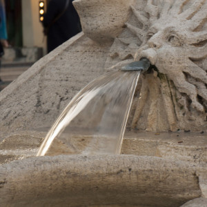 Roma28