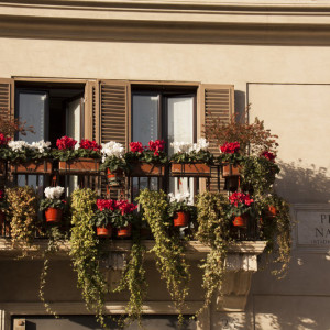 Roma36