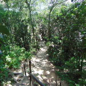 Trindade Trilha