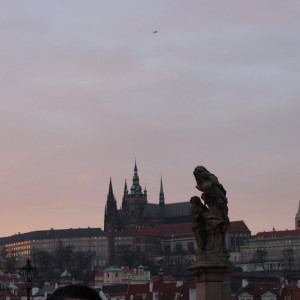 IMG_5190