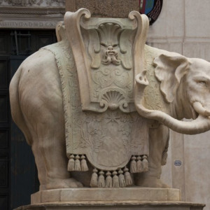 Roma50