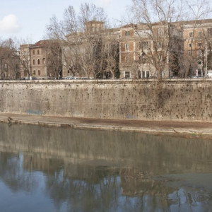Roma61