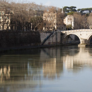 Roma62