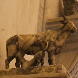 Roma121