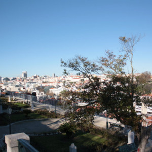 IMG_2012