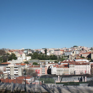 IMG_2014