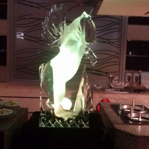 Hotel  - Restaurante 2