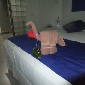 Hotel - Quarto2