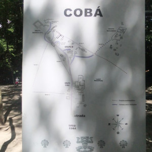 Coba1
