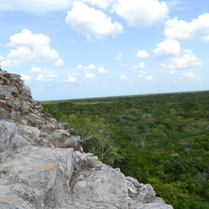 Coba6