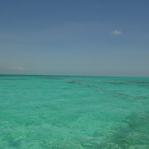 A caminho da Ilha Contoy