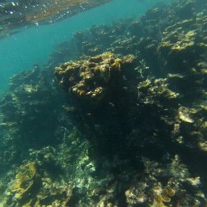 A caminho da Ilha Contoy - paragem para fazer snorkeling