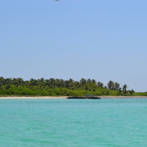 Ilha Contoy - o paraíso 1