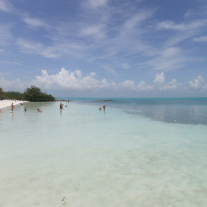 Ilha Contoy - o paraíso 2