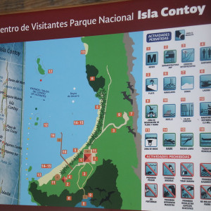 Ilha Contoy - o paraíso3